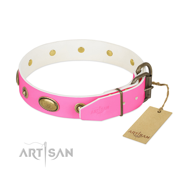 Corrosion resistant buckle on leather dog collar for your pet