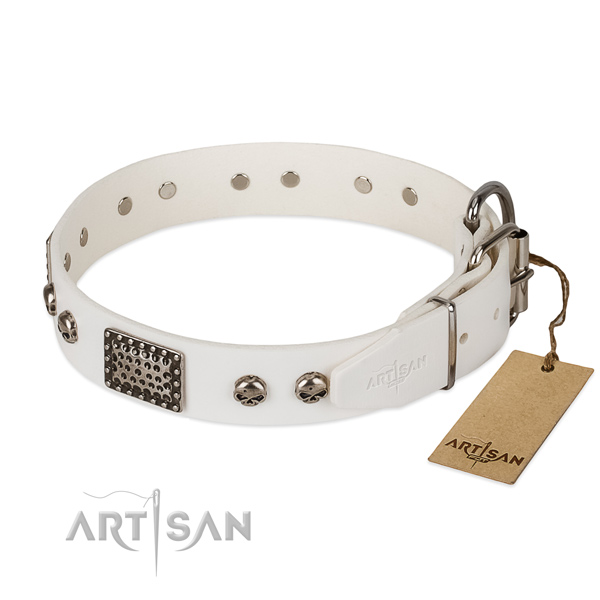 Corrosion proof fittings on comfy wearing dog collar
