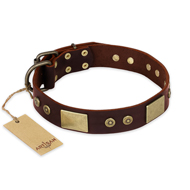 "Shining Armour" FDT Artisan Brown Leather Belgian Malinois Collar with Decorations