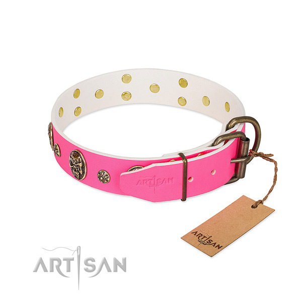Strong buckle on full grain natural leather collar for stylish walking your canine