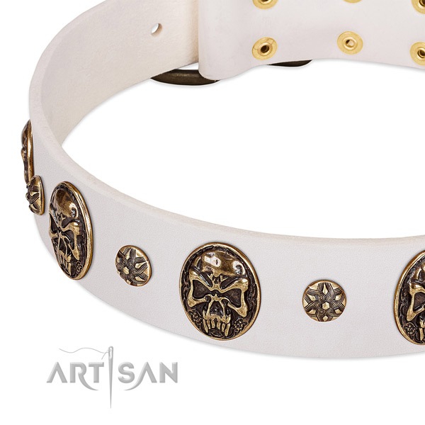 Durable embellishments on natural genuine leather dog collar for your pet
