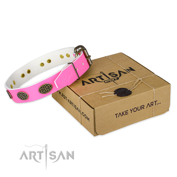 Corrosion proof embellishments on dog collar for walking