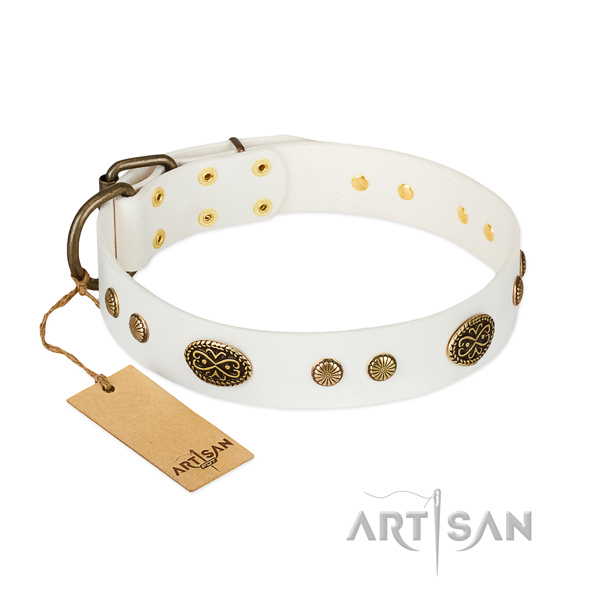 Corrosion proof embellishments on full grain natural leather dog collar for your dog