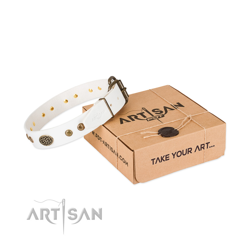 Rust resistant buckle on full grain leather dog collar for your four-legged friend