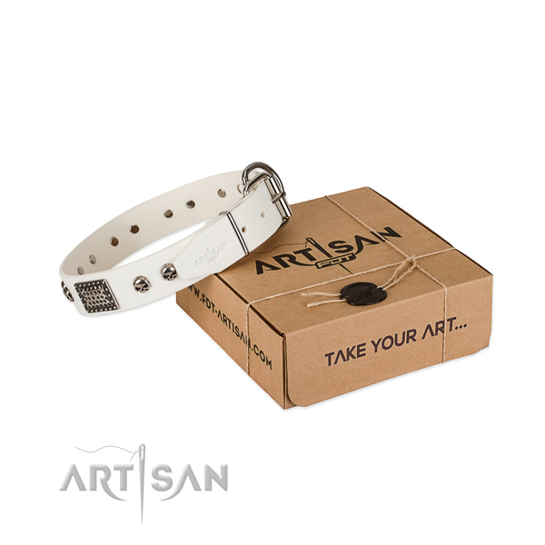 Corrosion proof traditional buckle on dog collar for basic training
