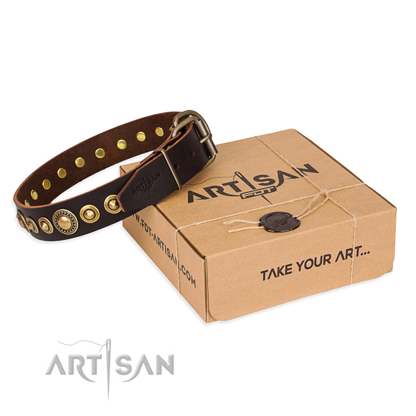 Durable full grain genuine leather dog collar handcrafted for fancy walking