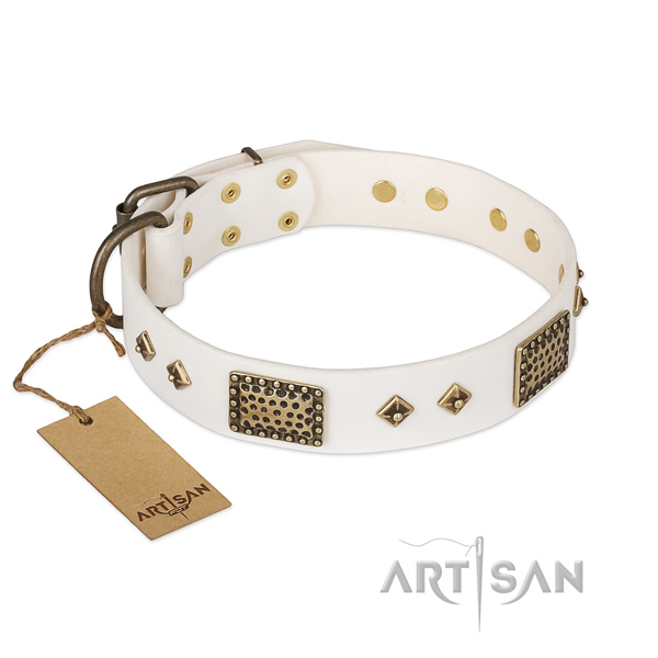 Incredible leather dog collar for basic training