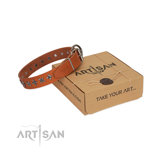 Easy wearing dog collar of strong full grain leather with adornments