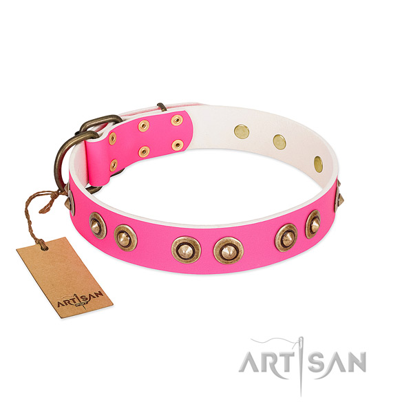 Unique full grain genuine leather dog collar for daily walking