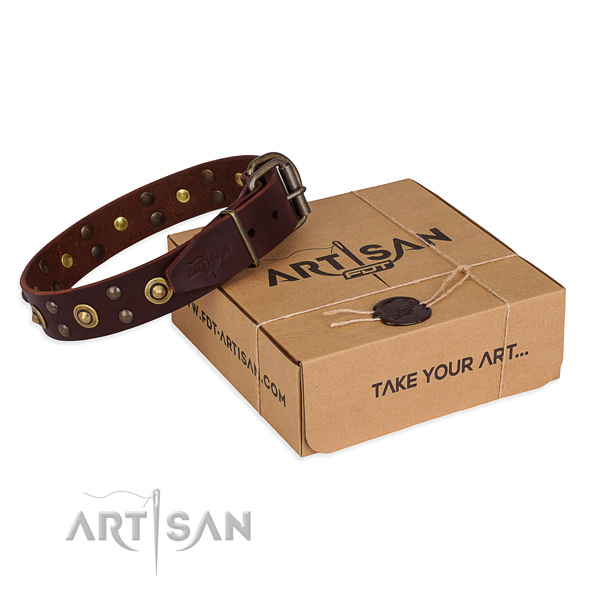 Reliable buckle on full grain natural leather collar for your beautiful four-legged friend