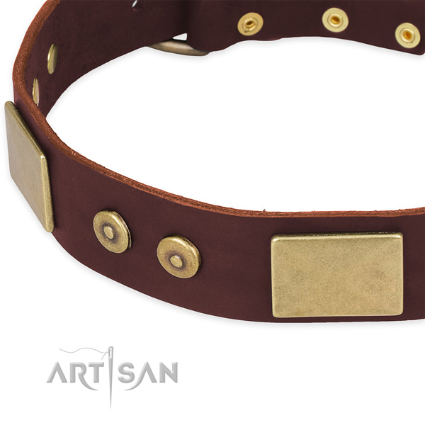 Genuine leather dog collar with studs for walking