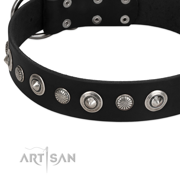 Unusual studded dog collar of durable leather