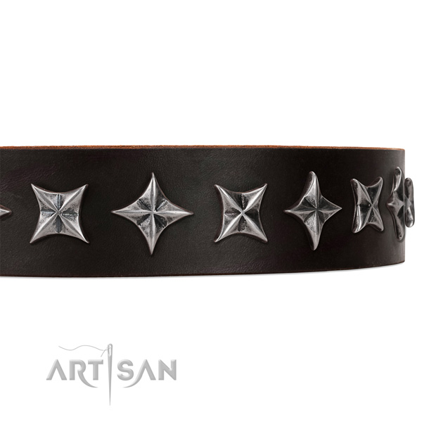 Comfy wearing decorated dog collar of strong full grain natural leather