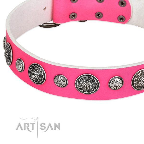 Full grain natural leather collar with corrosion resistant fittings for your handsome canine