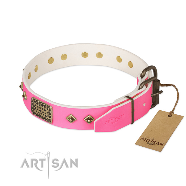 Durable D-ring on comfy wearing dog collar