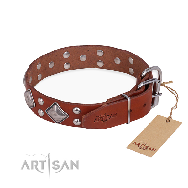 Full grain leather dog collar with amazing reliable studs