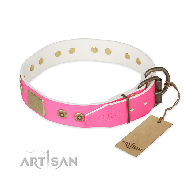 Rust-proof studs on daily use dog collar