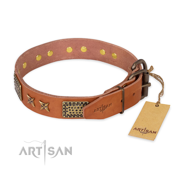 Durable fittings on full grain genuine leather collar for your beautiful four-legged friend