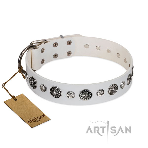 Strong Full grain natural leather dog collar with corrosion resistant fittings