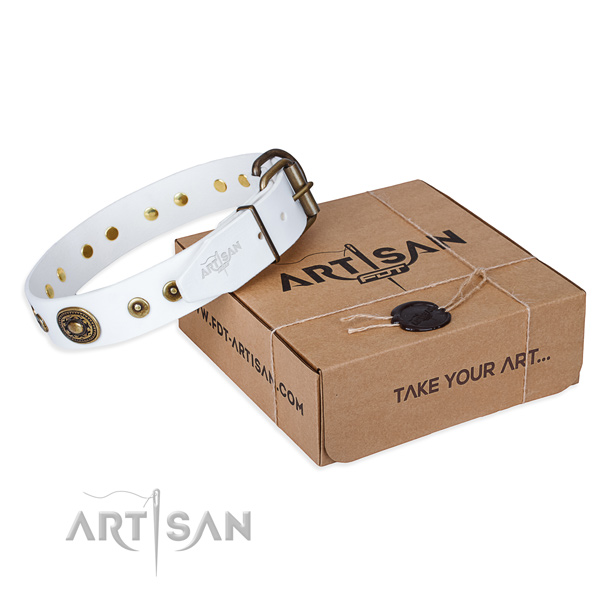 Full grain leather dog collar made of reliable material with rust-proof buckle