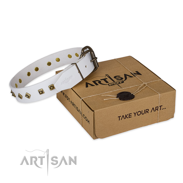 Strong traditional buckle on genuine leather dog collar for fancy walking