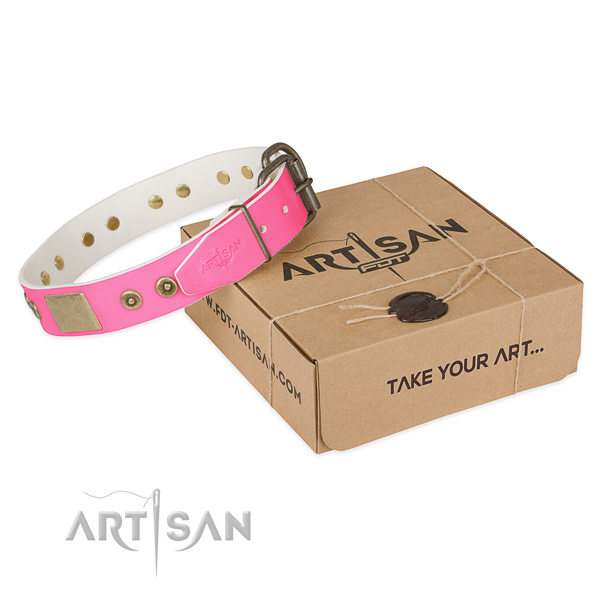 Durable D-ring on dog collar for stylish walking