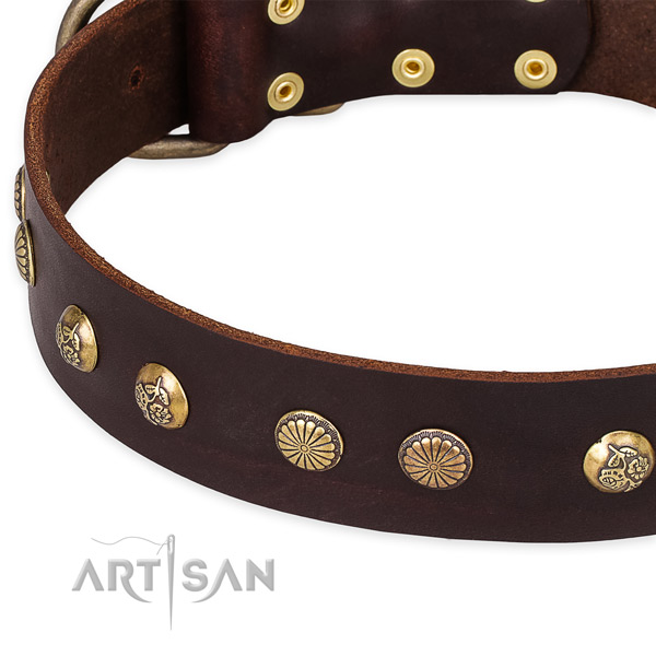 Genuine leather collar with durable hardware for your stylish canine