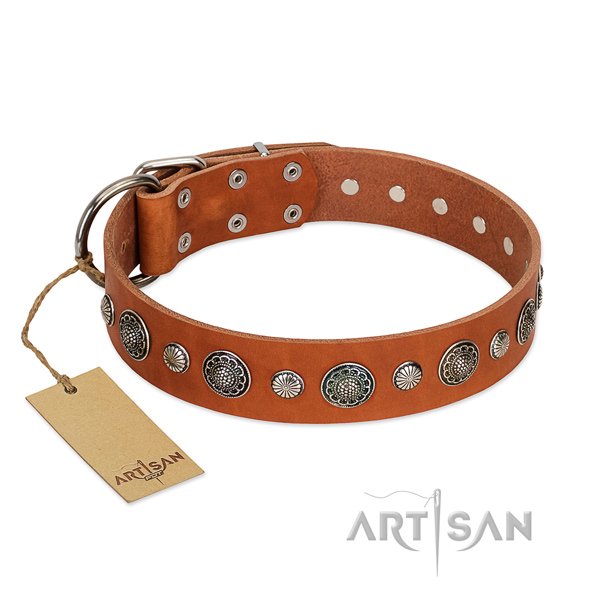 High quality full grain genuine leather dog collar with rust resistant fittings