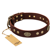 "Old-fashioned Glamor" FDT Artisan Brown Leather Belgian Malinois Collar with Old Bronze Look Plates and Circles
