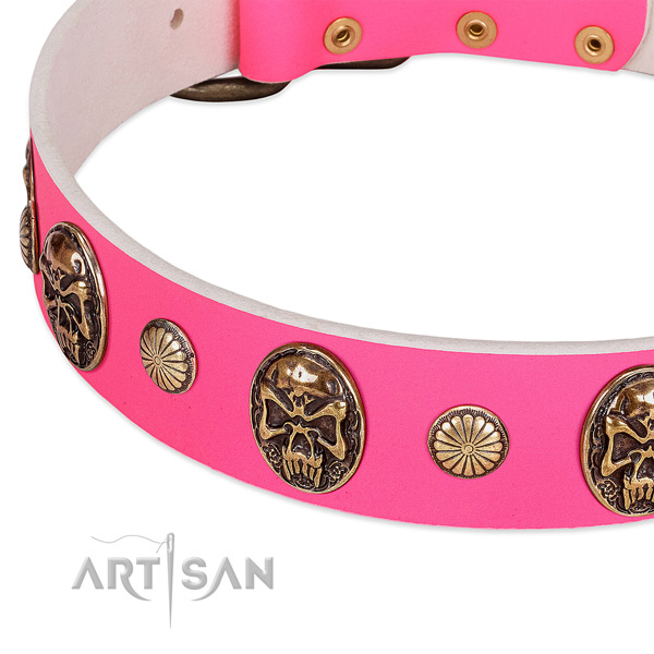 Rust resistant adornments on full grain natural leather dog collar for your doggie