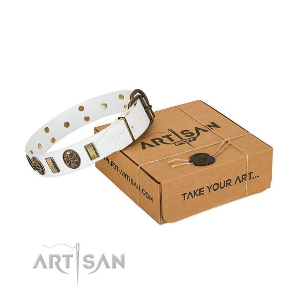 Rust-proof D-ring on genuine leather dog collar for fancy walking