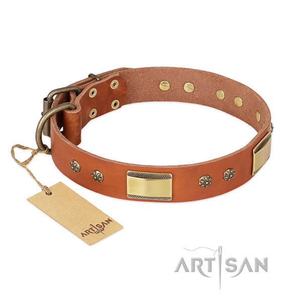 Stunning full grain genuine leather collar for your dog