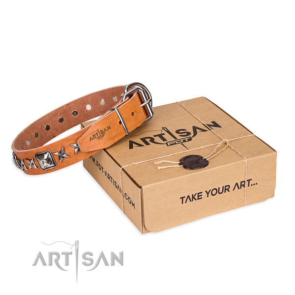 Basic training full grain natural leather dog collar with embellishments