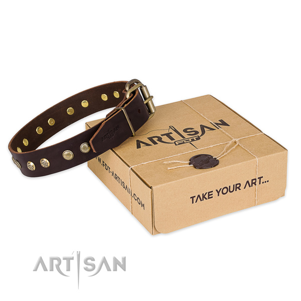 Strong traditional buckle on full grain leather collar for your impressive dog