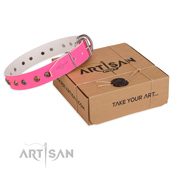 Fancy walking dog collar with Stylish design strong decorations