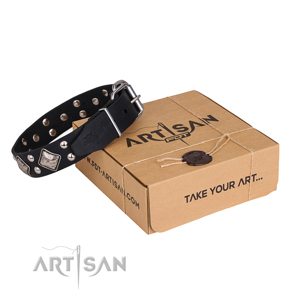 Fancy walking dog collar with Stylish design strong decorations