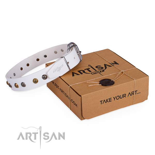 Stylish walking dog collar with Unique strong decorations