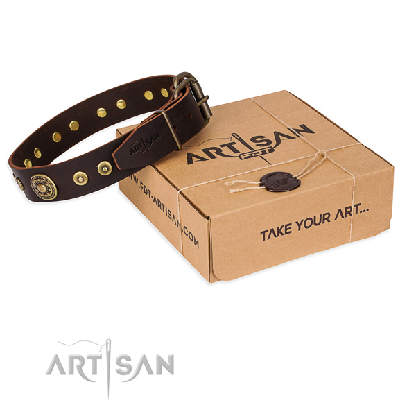 Full grain natural leather dog collar made of soft to touch material with rust resistant fittings