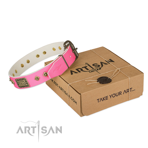 Corrosion resistant fittings on dog collar for comfortable wearing