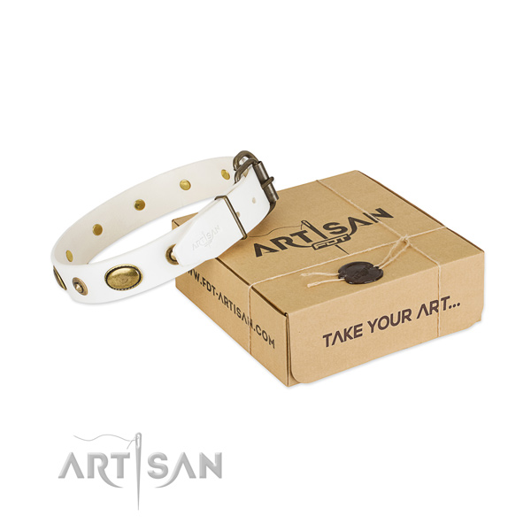 Studded full grain leather collar for your stylish canine