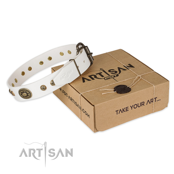 Durable traditional buckle on full grain leather dog collar for walking