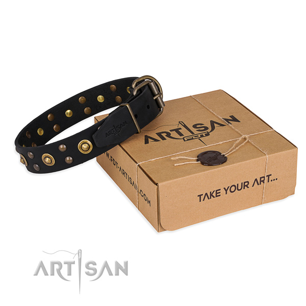 Corrosion proof buckle on full grain natural leather collar for your stylish four-legged friend