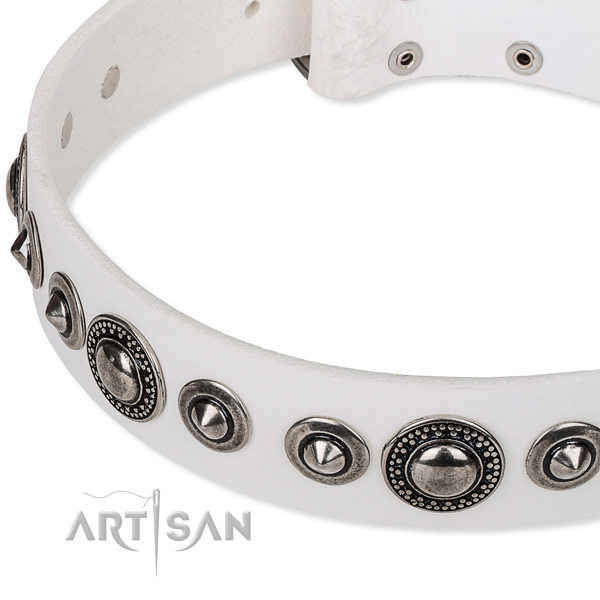 Fancy walking decorated dog collar of top notch full grain leather