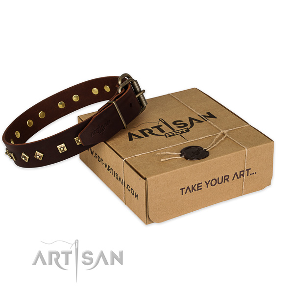 Durable D-ring on full grain leather dog collar for handy use