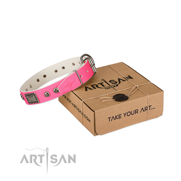 Durable hardware on dog collar for everyday use