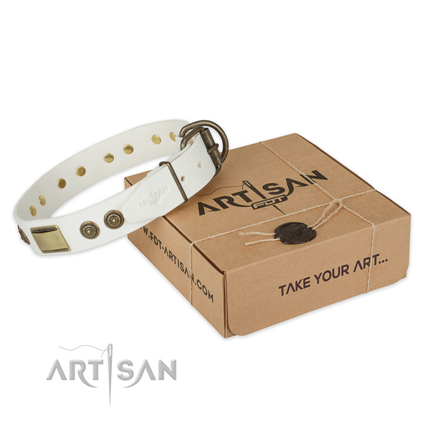 Rust-proof fittings on genuine leather dog collar for stylish walking
