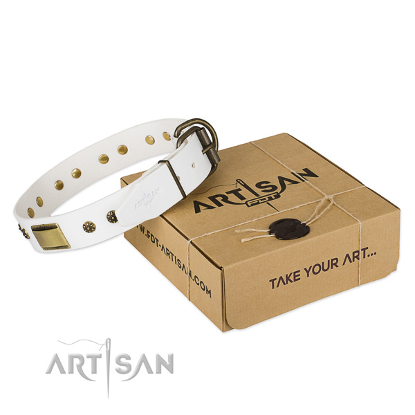 Exquisite full grain natural leather collar for your beautiful dog