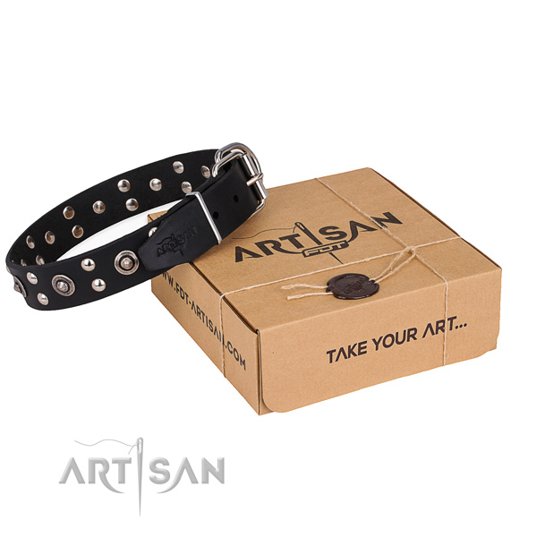 Everyday use dog collar with Extraordinary strong embellishments
