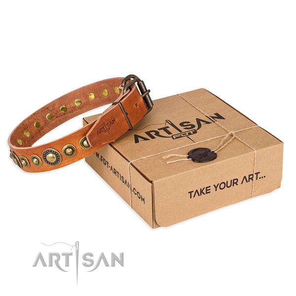 High quality full grain natural leather dog collar crafted for daily walking