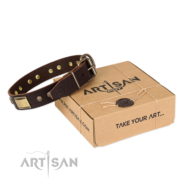 Extraordinary genuine leather collar for your lovely pet